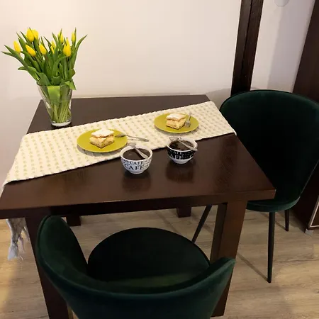 Apartamenty Pod Kicarzem Piwniczna-Zdroj Exterior photo