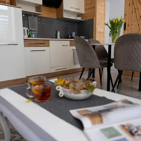 Apartamenty Pod Kicarzem Piwniczna-Zdroj Exterior photo